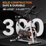 POOBOO Indoor Exercise Bike with Bluetooth and Comfort Seat