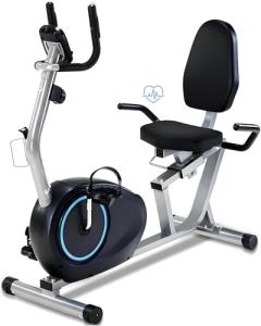 Kawnina Senior-Friendly Recumbent Exercise Bike