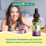 Spring Valley B Complex Vitamin B12 Liquid Supplement