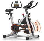 DMASUN Silent Magnetic Resistance Exercise Bike
