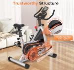 DMASUN Silent Magnetic Resistance Exercise Bike