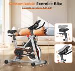 DMASUN Silent Magnetic Resistance Exercise Bike