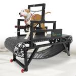 Multi-Functional Dog Treadmill with Speedometer