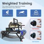 Multi-Functional Dog Treadmill with Speedometer