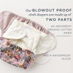 Esembly Cloth Diaper Outer, Swim Diaper, Waterproof Cloth Diaper Cover, Leak-Proof, Breathable Layer Over Prefolds, Flats or Fitteds, Reusable with Snap Closure - Size 2 (18-35lbs), Eco Earth