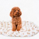 LifeTree Baby Swaddle Blankets Dog, 70% Viscose Bamboo and 30% Cotton Muslin Swaddle Blankets Boys Girls Swaddling Wrap Receiving Blanket Neutral for Newborn, Large 47" x 47", Poodle Puppy