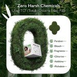 Momcozy Newborn Diapers, Baby Diapers Natural Bamboo Diapers Hypoallergenic for Sensitive Skin, Disposable Diapers, Organic Diapers Infant Diapers Size 1(80 Count)