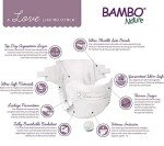 Bambo Nature Hypoallergenic Baby Diapers, Eco-Labeled Diapers, Enhanced Leakage Protection, Totally Chlorine-free, Skin Friendly, and Super Absorbent - Size 4 (81 Count)