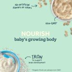 Gerber Baby Cereal Organic 1st Foods, Grain & Grow, Oatmeal, 8 Ounces (Pack of 6)