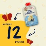 Earth's Best Organic Baby Food Pouches, Wholesome Breakfast Puree for Babies 6 Months and Older, Organic Banana Blueberry and Oat Puree, 3.5 oz Resealable Pouch (Pack of 12) (Packaging May Vary)