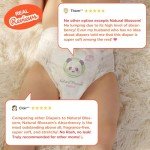 Natural Blossom Easy Pull-up Diaper Pants | Size (4) 2T-3T (20-31 lbs) | 96 Count (24ea*4packs) | Vegan - Super Soft - Hypoallergenic - Ultra-Slim