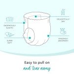 LILLYDOO Diaper Pants Toddlers - Size 8 (42+ lbs), Half-Monthly Supply (45 Count), Skin-Friendly, Ultrasoft, Chlorine-Free, Snug Fit & Absorbent Pull On Diapers