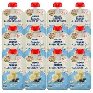 Earth's Best Organic Baby Food Pouches, Wholesome Breakfast Puree for Babies 6 Months and Older, Organic Banana Blueberry and Oat Puree, 3.5 oz Resealable Pouch (Pack of 12) (Packaging May Vary)