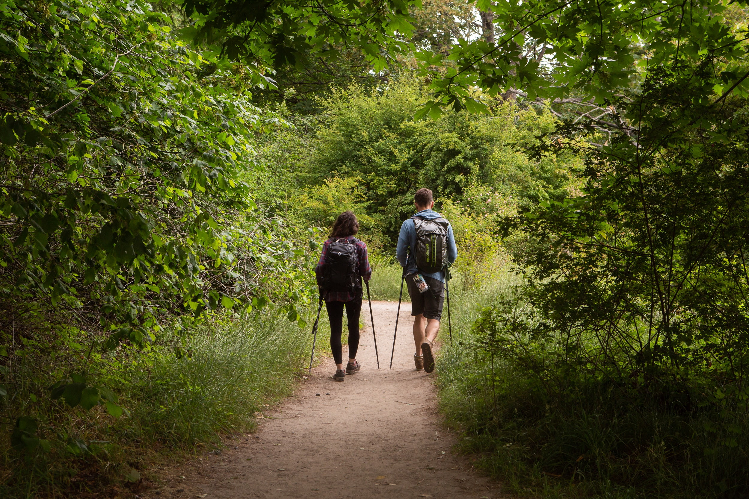 Aluminum Quick Lock Hiking Poles - Collapsible Stick