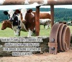 Classic Vintage One-Piece Leather Belt with Snaps