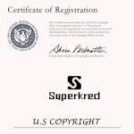 Vintage Cowboy Western Belt Buckles for Men