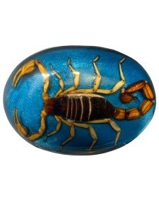 Vintage Western Cowboy Scorpion Belt Buckle