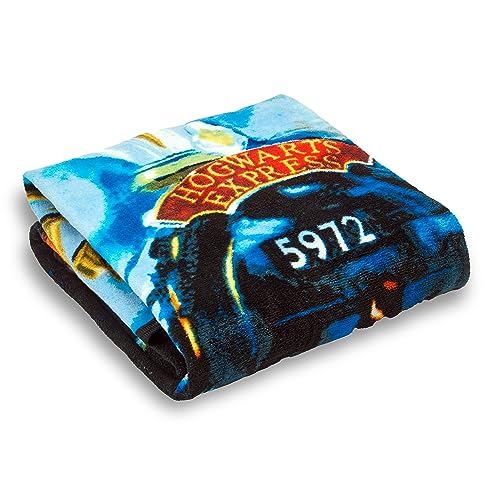 Harry Potter Raschel Throw Blanket: 46" x 60