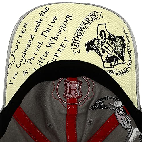 Harry Potter Hogwarts Snapback Hat for Men