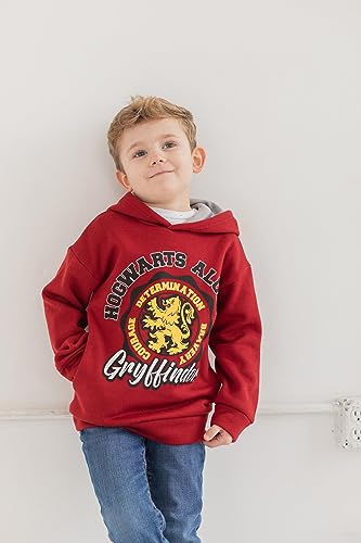 Gryffindor Hoodie for Little Boys - Size 6
