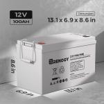 Renogy 100Ah Deep Cycle AGM Battery for RVs & More