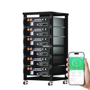 ECO-WORTHY 48V 600Ah LiFePO4 Battery Pack with Bluetooth
