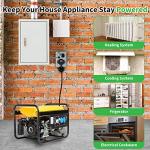 BOYISEN 15 Amp Manual Generator Transfer Switch