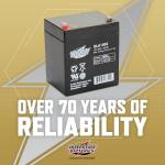 12V 5Ah AGM Battery for Alarms & Openers