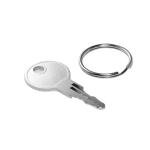 Replacement Keys for Generac Generator Lock Set