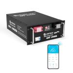 48V 100Ah LiFePO4 Battery with Smart BMS