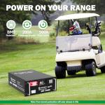 48V 100Ah LiFePO4 Battery with Smart BMS