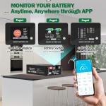 48V 100Ah LiFePO4 Battery with Smart BMS