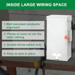 Lezbanz 100 Amp Manual Transfer Switch for Generators