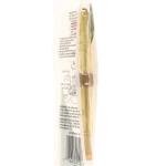 Coleman Dual Fuel Lantern Generator for 282 285