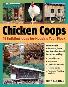 45 Chicken Coop Ideas for Your Flock