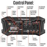 Westinghouse 12500W Dual Fuel Portable Generator