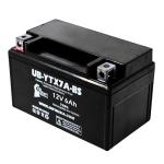 YTX7A-BS Battery for 3400 Dual Fuel Generator