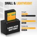 ECO-WORTHY 12V 20Ah LiFePO4 Rechargeable Battery