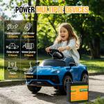 ECO-WORTHY 12V 20Ah LiFePO4 Rechargeable Battery