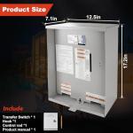 100 Amp Automatic Transfer Switch for Generac
