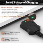 30W Solar Battery Charger with Smart MPPT Controller