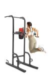 Weider Power Tower with 4 Workout Stations