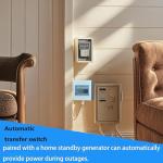 100A Automatic/Manual Generator Transfer Switch for Stable Power