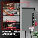 200A Heavy Duty Manual Transfer Switch for Generators