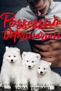 Portable Power Generator for Your Needs