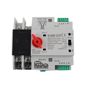 Automatic Dual Power Transfer Switch 100A 110V