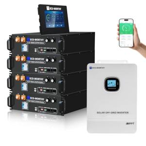 ECO-WORTHY 10,000W Backup Power Station