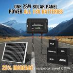 ECO-WORTHY 25W 12V Solar Battery Charger Kit