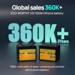 ECO-WORTHY 12V 100AH LiFePO4 Lithium Battery with Bluetooth, Max.1280Wh Energy, Low Temperature Protection, Group 24, Built-in 100A BMS, Perfect for Trolling Motor, RV, Boat, Solar Off-Grid