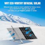 ECO-WORTHY 200 Watt Bifacial Solar Panel 2pcs 100 Watt Monocrystalline Solar Panel Module Off Grid PV Power for Home, Camping, Boat, Shed Farm, RV,12V/24V Battery